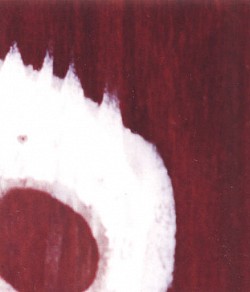 Example of white water marks that can be restored with Wood Elixir